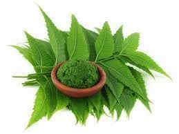 Neem Hair Mask
